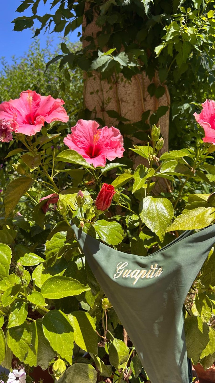 Le Solaire « Guapita » parmi les fleurs